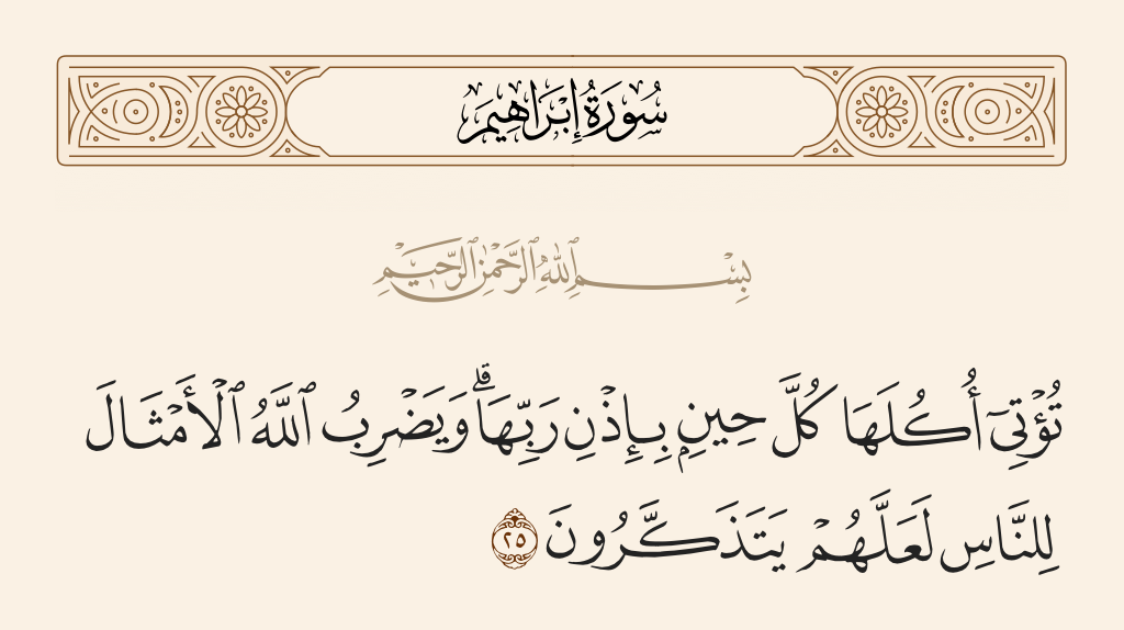 سورة إبراهيم الآية رقم 25