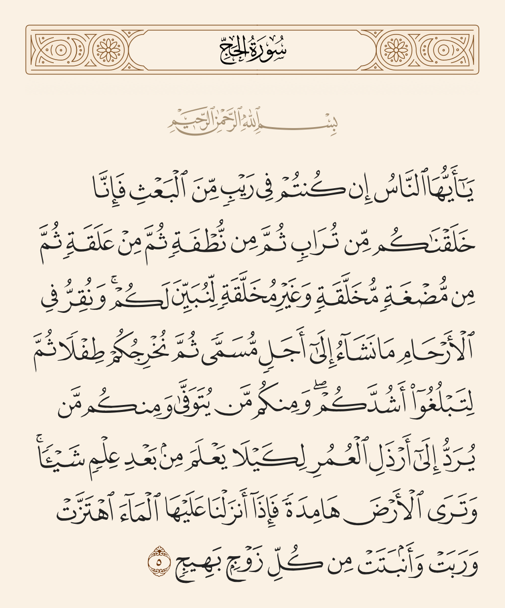 سورة الحج الآية رقم 5