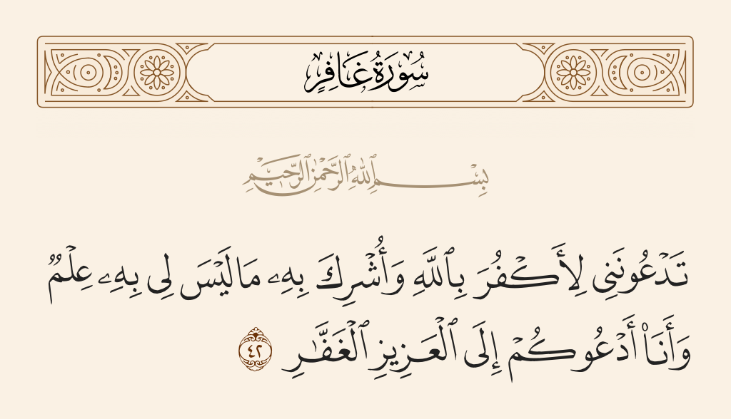 سورة غافر الآية رقم 42