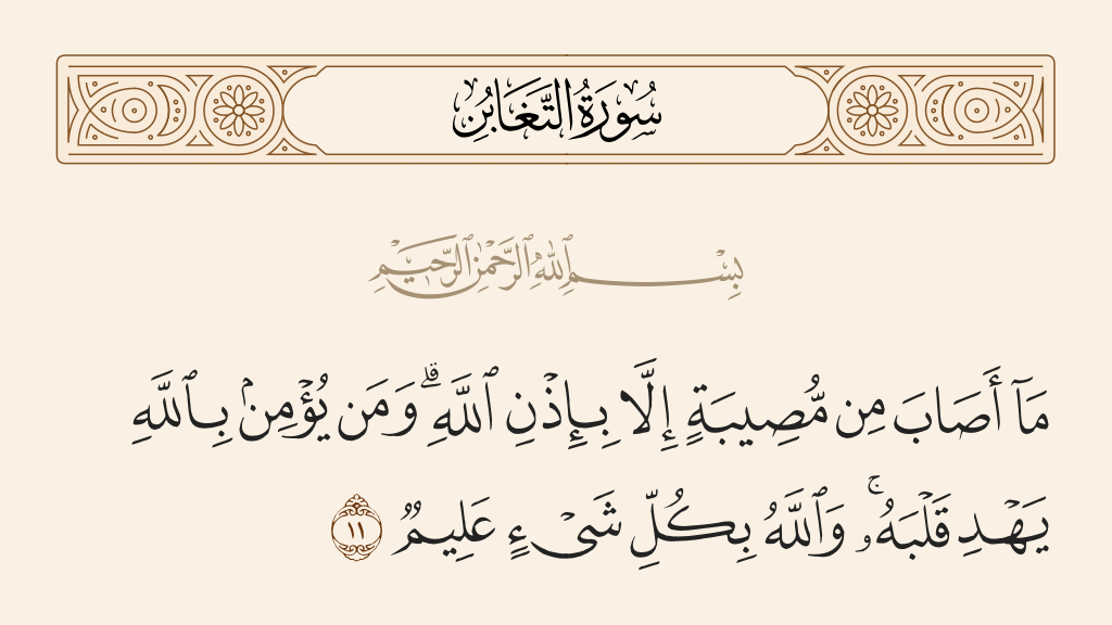 سورة التغابن الآية رقم 11