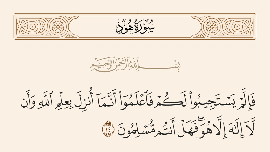 سورة هود الآية رقم 14